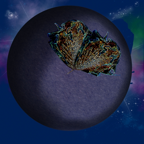 Creation of Solar Butterfly: Step 5